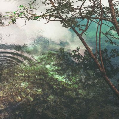 ripples in a pond. Photo by Cristina Gottardi from Unsplash