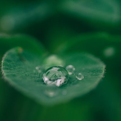 Water dropblets on a leaf. Photo by Aaron Burden, @aaronburden on Unsplash.com