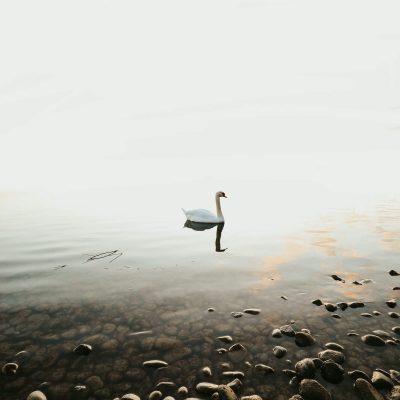 Photo by Simon Lohmann on Unsplash.